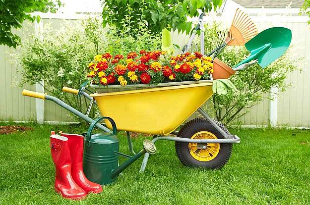 Choose The Right Gardening Tools | Gardening Tips And Tricks To Become A Successful Homesteader