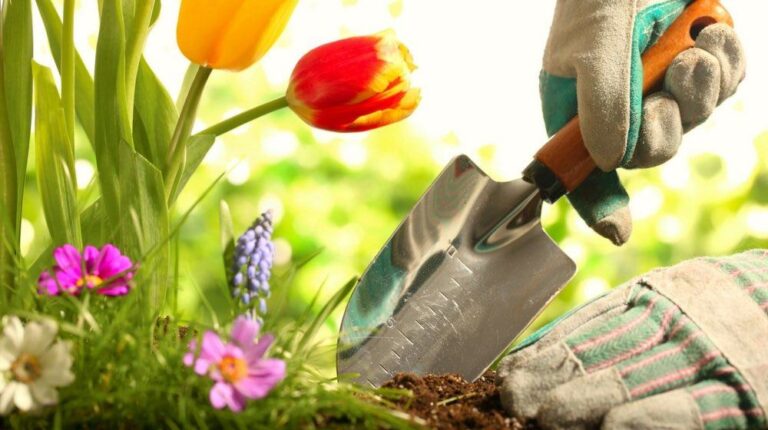 5 Easy Gardening Tips That'll Have You Grow Plants Like A Pro