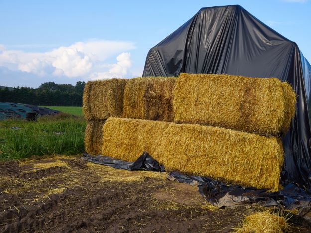 Have A Stock Of Food | Livestock And Barn Winter Tips | Homesteading Guide