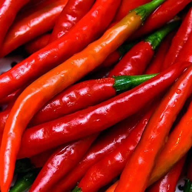 Cayenne | Healing Herbs And Spices To Grow In Your Garden