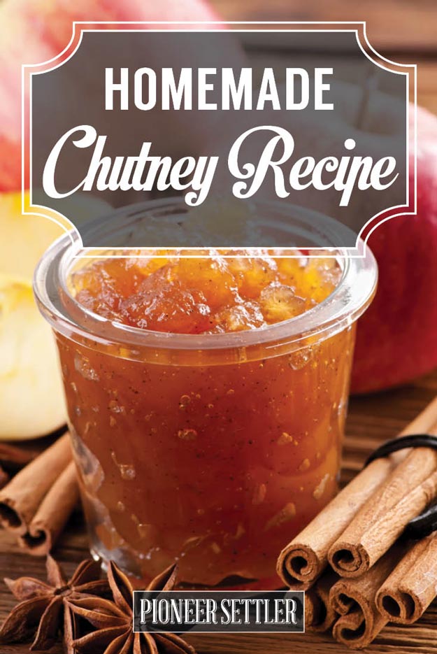 Homemade Chutney Recipe Apple Chutney Recipe