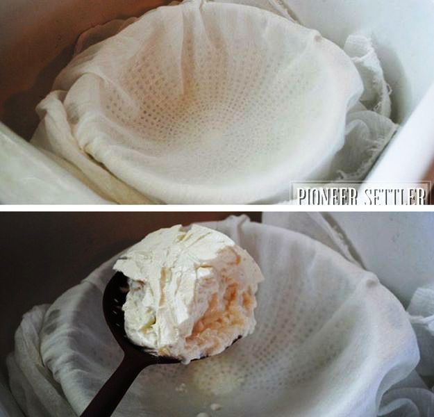 Step 4: Drained Curds | Homemade Goat Cheese | Chevre Recipe Step 4: Drained Curds | Homemade Goat Cheese | Chevre Recipe