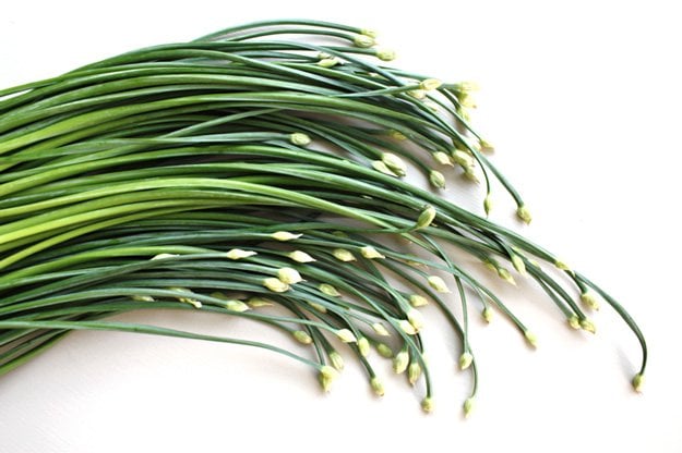 Garlic Chive Garlic Chive | A Homesteading Guide To Onions, Garlics, Chives, and Allium Flowers
