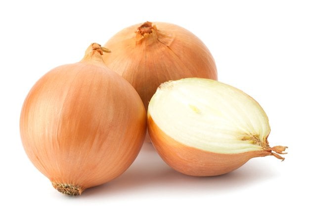 Yellow Onion Yellow Onion | A Homesteading Guide To Allim - Onions, Garlics, Chives, and Allium Flowers