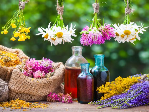 How To Make Herbal Infusions, Extracts, Salves, Tinctures, And Poultices | Homesteading Hacks Every Homesteader Should Know 