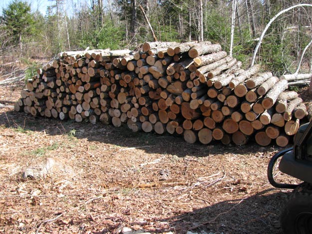 Homesteading Tips Homesteading Tips