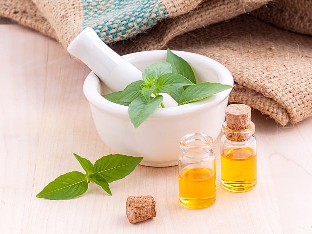 Make Organic Mosquito Repellent | Homesteading Skills Every Homesteader Must Be Well Equipped Make Organic Mosquito Repellent | Homesteading Skills Every Homesteader Must Be Equipped With