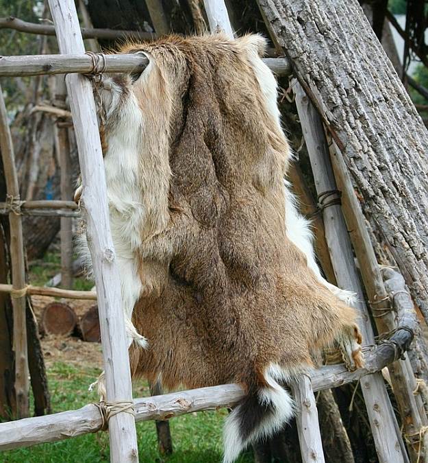 Tanning | Homesteading Skills Every Homesteader Must Be Well Equipped Tanning | Homesteading Skills Every Homesteader Must Be Equipped With