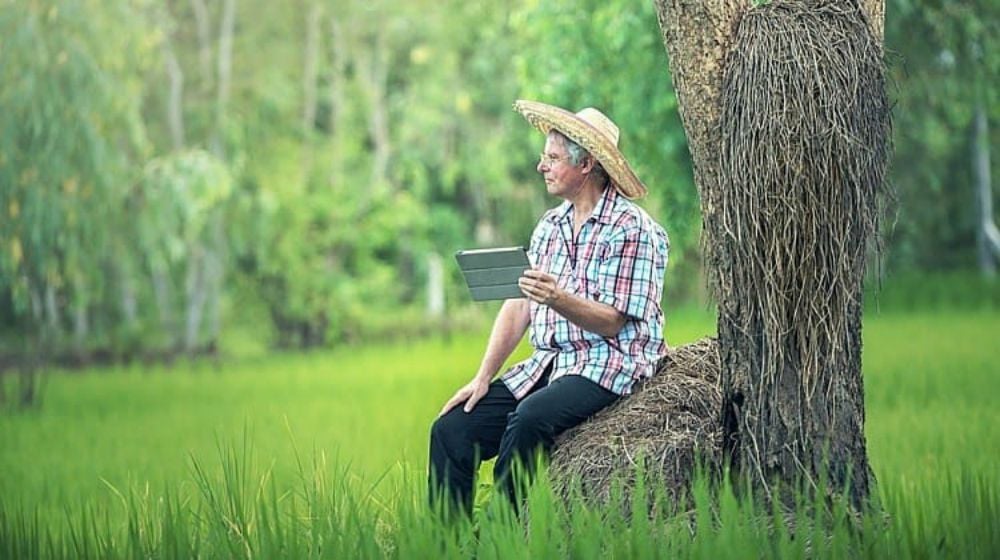 Feature | Homesteading Skills Every Homesteader Must Be Equipped With