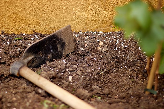 Pickax | Handy Homesteading Tools To Make You An Ultimate Homesteader