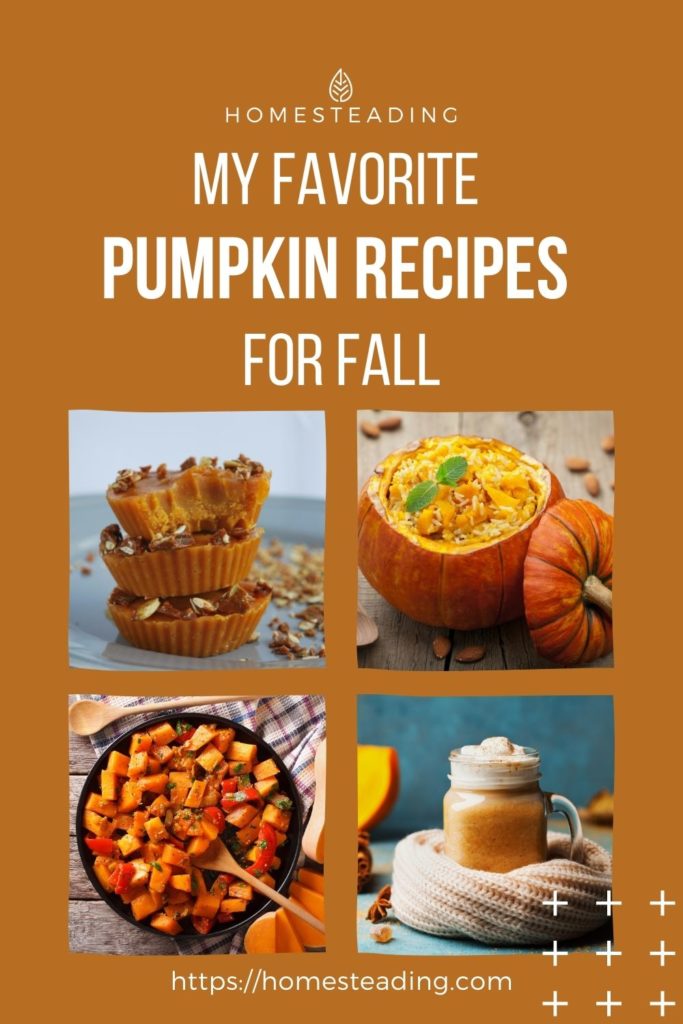 My Favorite Pumpkin Recipes for Fall House Favorite Pumpkin Recipes for Fall_pin_orig