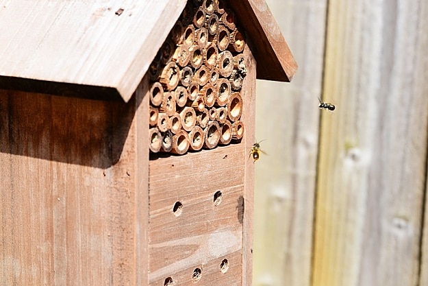 Bamboo Home | How To Create A Bee-Friendly Garden | Organic Gardening Tips And Ideas