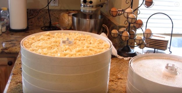 Step 3: Completely Dry The Garlic | How To Dehydrate Food To Preserve Them