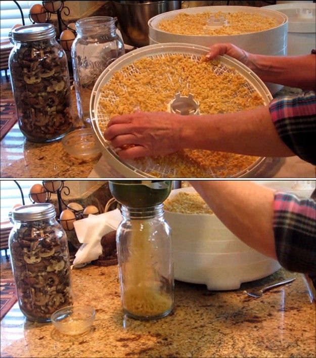 Step 4: Time To Store | How To Dehydrate Food To Preserve Them