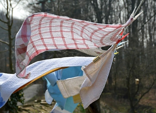 Pick An Ideal Site | How To Dry Laundry The Practical Good Old Homesteading Way