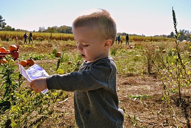 Integrate Homeschooling And Homesteading | How To Homeschool On The Homestead | Tips, Ideas, And Guide