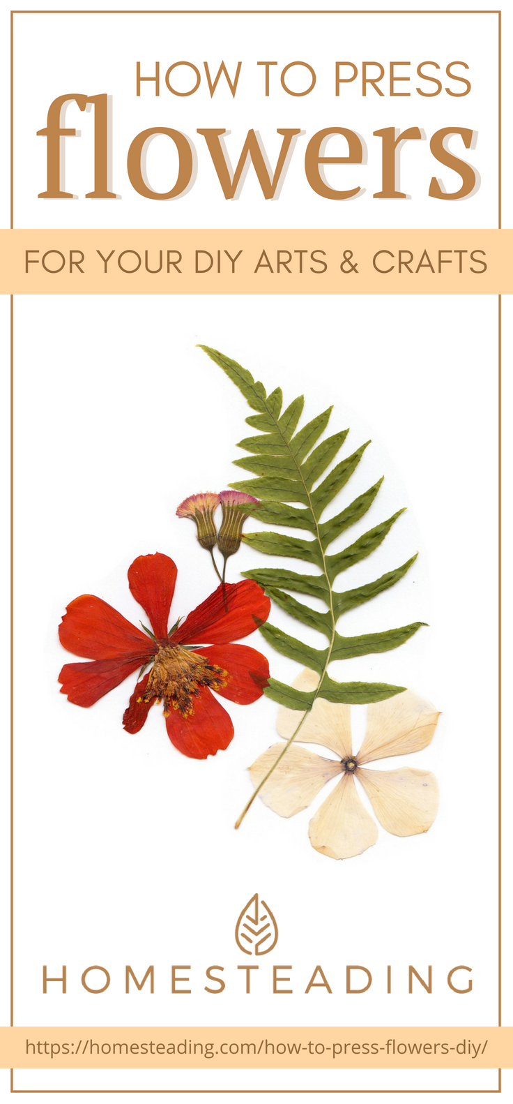 Pinterest Placard | How To Press Flowers For Your DIY Arts And Crafts 