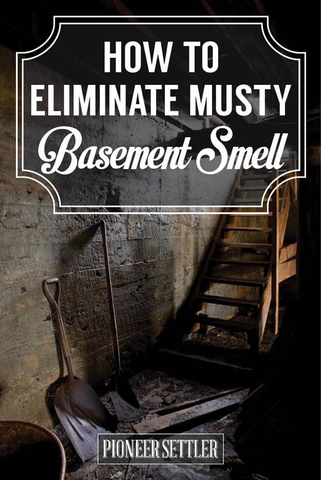 Eliminate Musty Smell in Basement With These 6 Tips