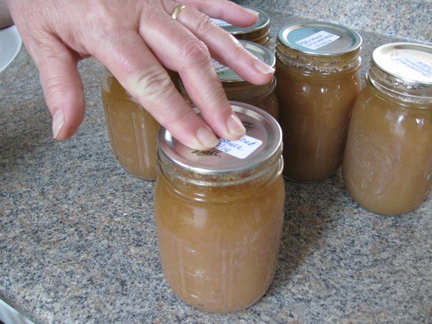 Canned Apple