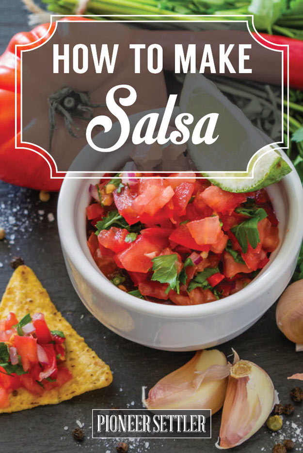 How to Make Salsa Salsa Recipe For Mild Pico De Gallo