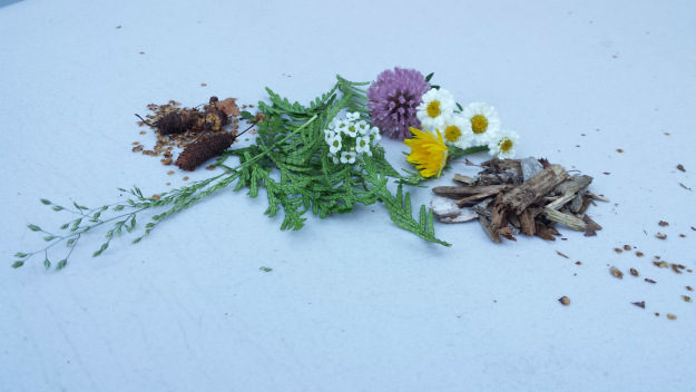 hunting-trip-flowers-and-mulch Hunting Trip | Experienced Tips and Tricks of the Trade