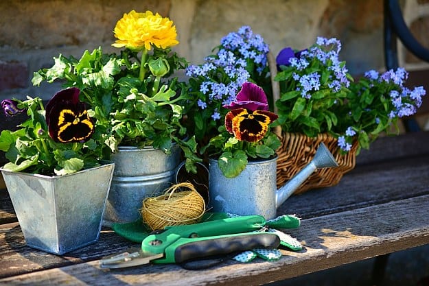Love Gardening | Hygge And Homesteading | Tips And Tricks For A Happier Home