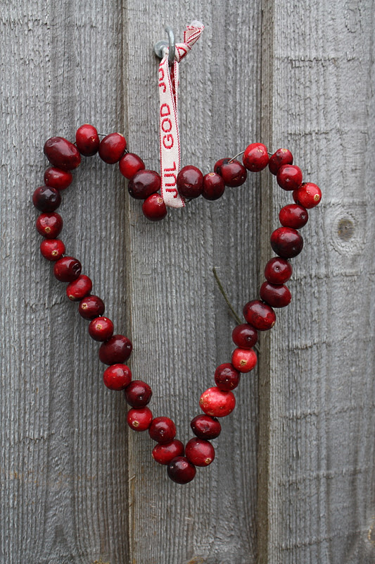 Cranberry Love on a Wire | Stunning Homemade Christmas Ornaments You Can DIY On A Budget