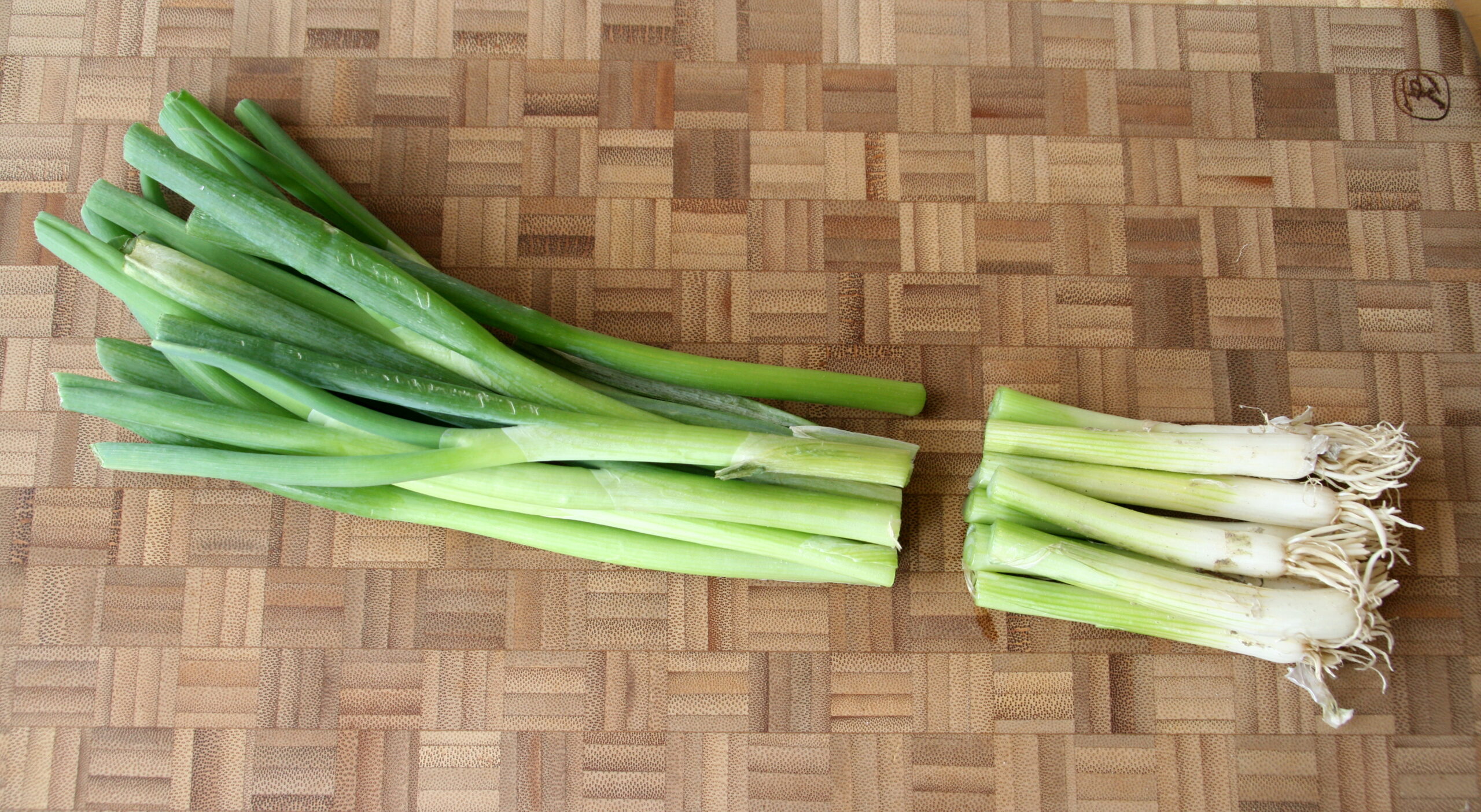 Scallions | Most Productive Vegetable You Can Grow Indoors Scallions | Vegetables To Grow Indoors For A Productive Garden