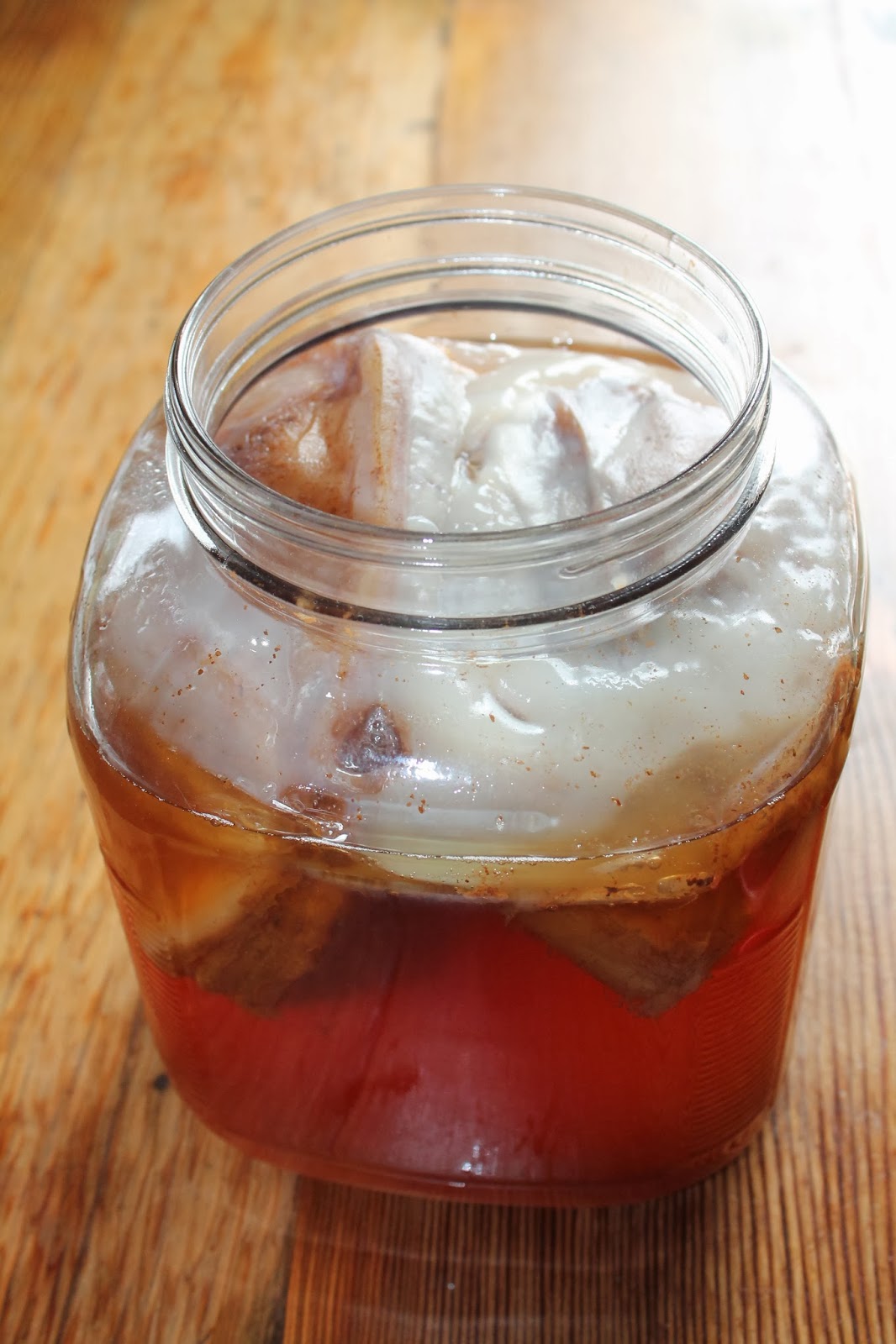 Kombucha Instructions