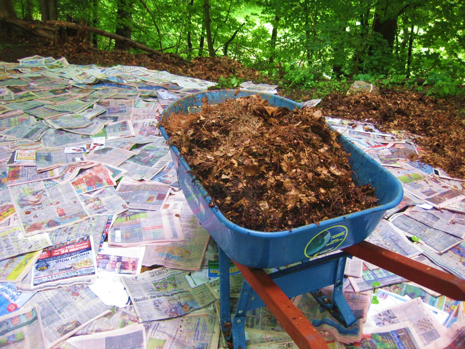 Newspaper Mulching | Homemade Weed Killer To Stop Weeds In Their Tracks Newspaper Mulching | Homemade Weed Killer To Stop Weeds In Their Tracks