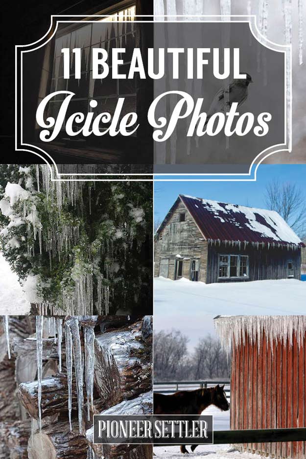 Icicle Photos