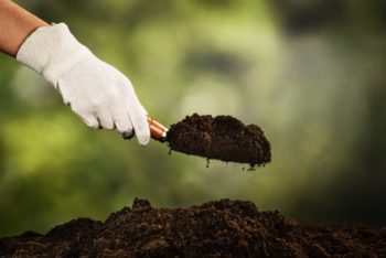 Increases Soil Fertility | The Essential Benefits Of Worm Farming | Homesteading For Beginners