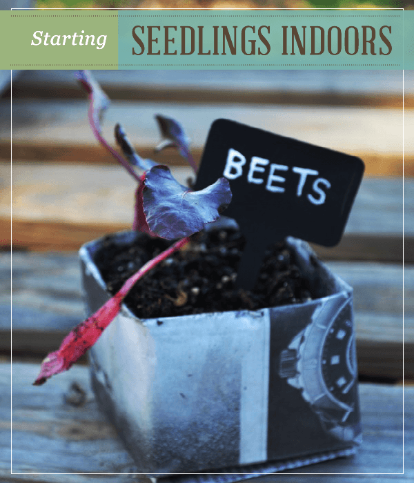 Starting Seedlings Indoors Starting Seedlings Indoors