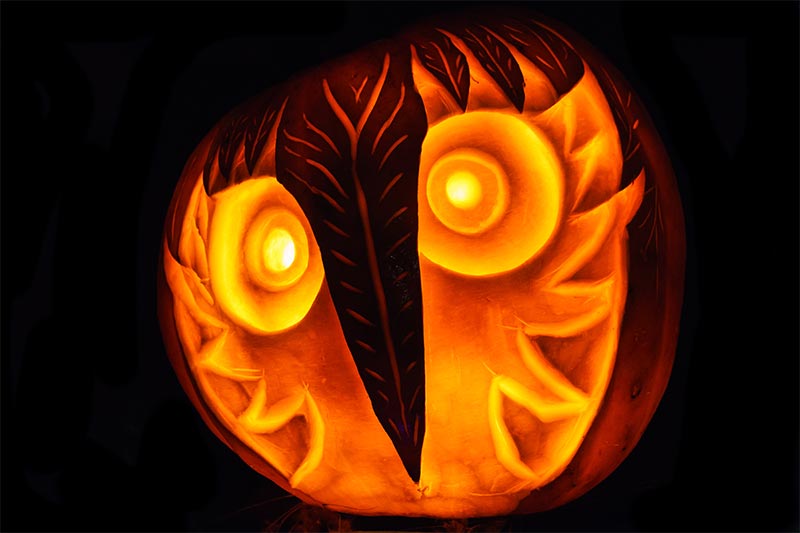 Jack O Lantern Halloween pumpkin on black background | pumpkin carving ideas