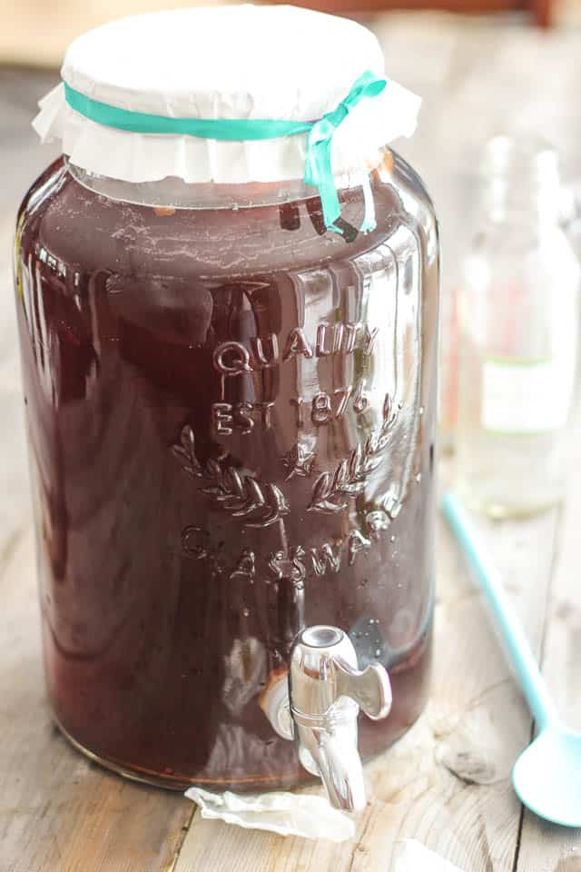 Make Kombucha Tea