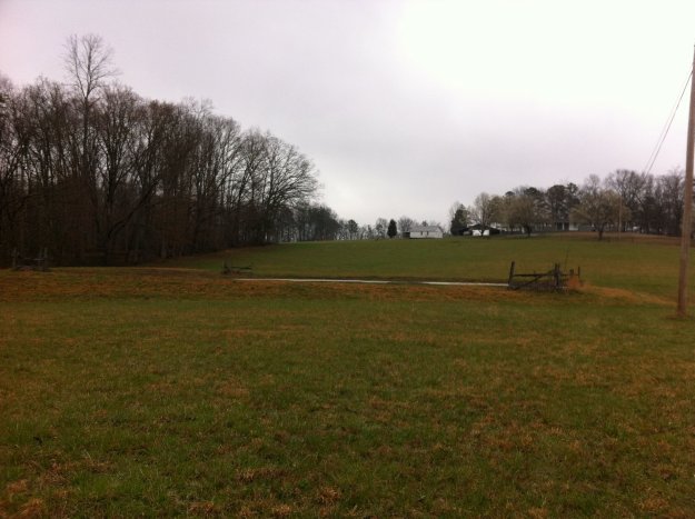 Don’t Mud Wrestle With Pigs: Large Open Pastures | Land and Farm For Sale | How to Buy Property for Homesteading