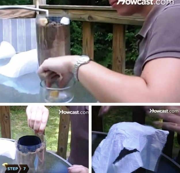 Step 7: Feeding Your Ants | Learn How To Create Your Own Ant Farm | Kids Project