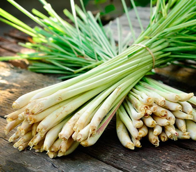 Lemon Grass | Grow Vegetables From Scraps Instead Of Seeds