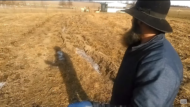 Garden Plowed | Living Off Grid In Winter 