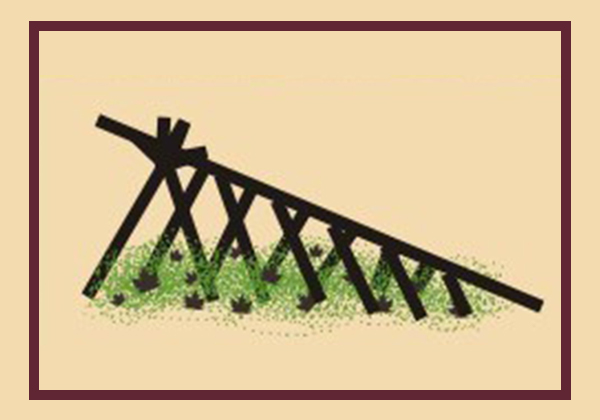 Making a Rib-cage Framework | survival shelter