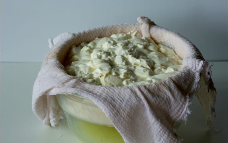 paneer strained in a muslin cloth | How To Make Cream Cheese At Home | homemade cream cheese