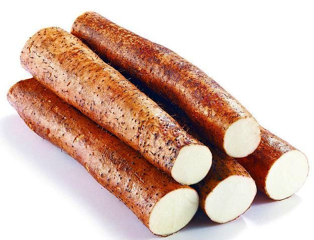 Chinese Yam | Mother Nature’s Best Home Remedies