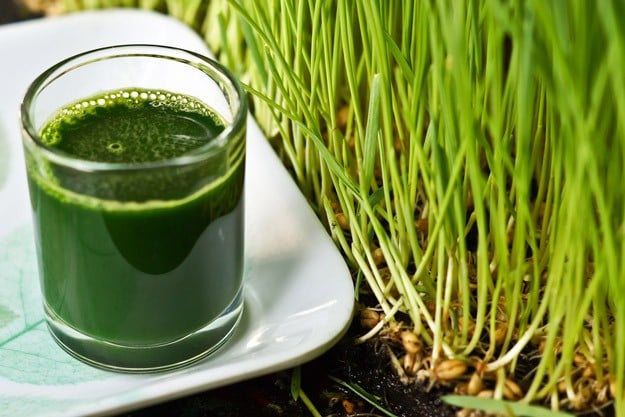 Wheat Grass | No Fuss Ways To Prepare Wheat Berries