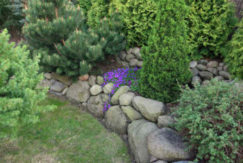 North | How Does Your Garden Affect Your Well-being | [Infographic]