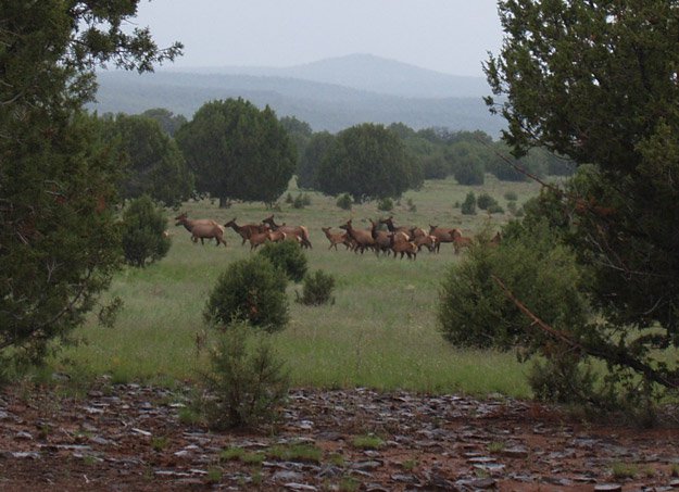 Off Grid Homes For Sale | Jake's Old West Properties - Click To Learn More