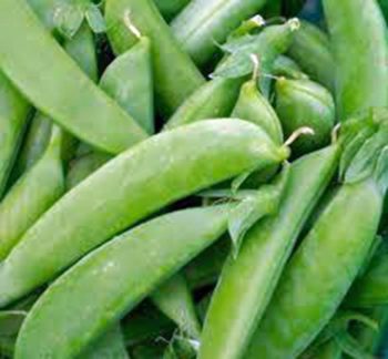 Peas | How To Blend Edible Landscaping With Ornamentals [Infographic]