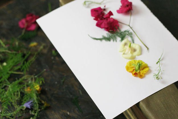Place flowers on paper