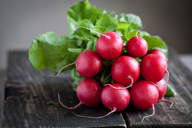 Radish