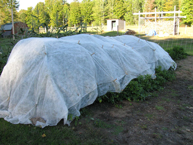 Keep your plants warm with a Row Cover | Planting Tips For Spring: Heat Seeking Plants | Keep reading for more planting tips at homesteading.com