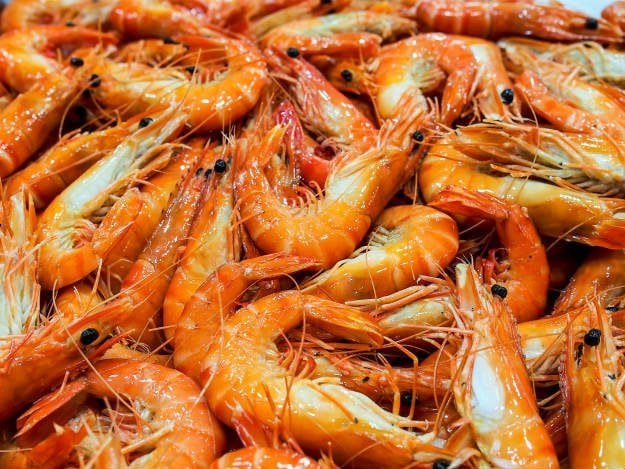 prawns Non-Traditional Farm Animals | 10 Uncommon Animals Found on The Farm